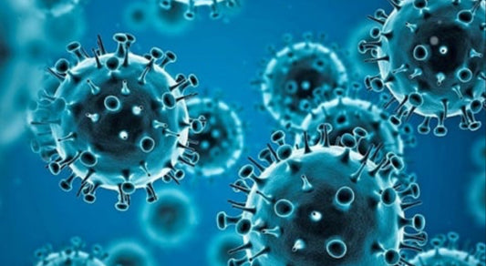 Dear Coronavirus...